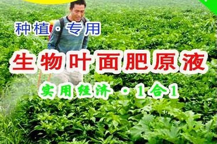 什么是生物型叶面肥？作用及特点你了解么？