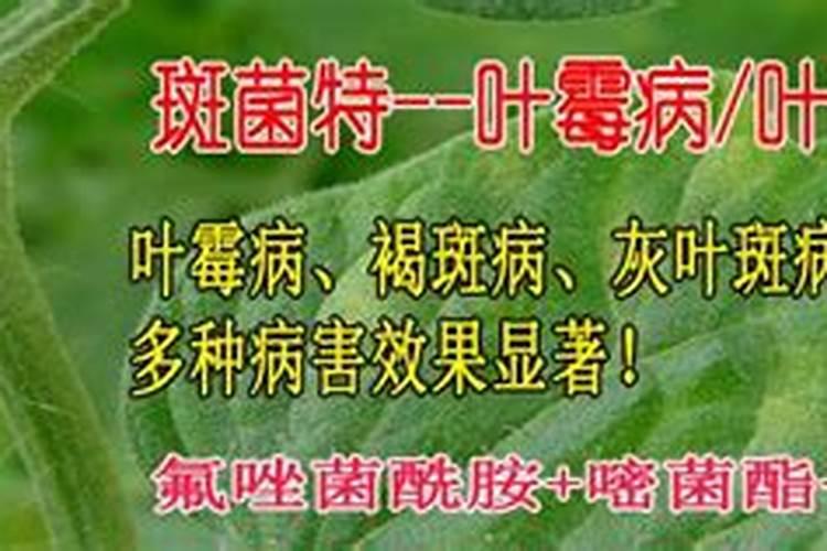 怎样鉴别农药质量好坏？