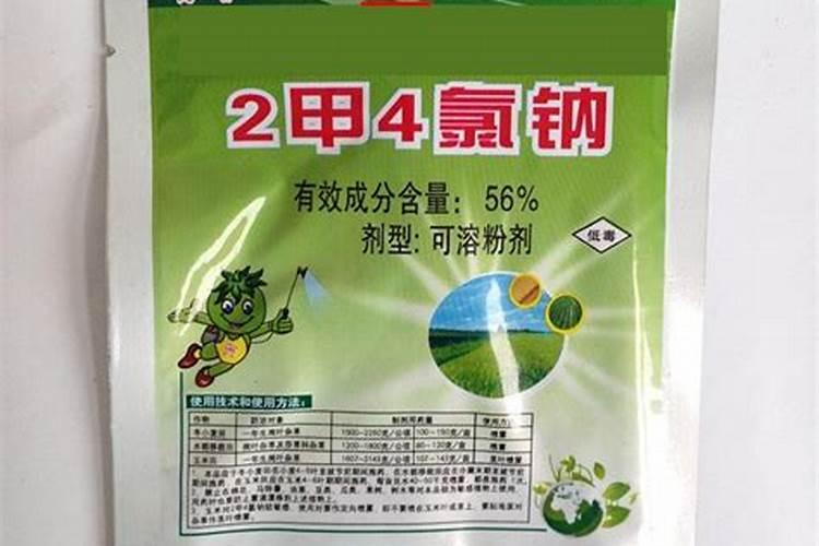 重生之路：韭菜在2甲4氯药害后的恢复之旅