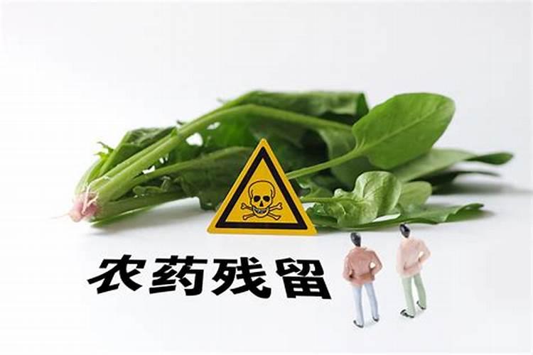 守护舌尖安全：应对农药残留的策略与实践