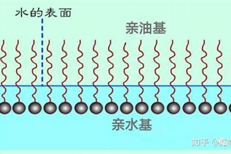 探究亲水基对农药表面活性剂的影响