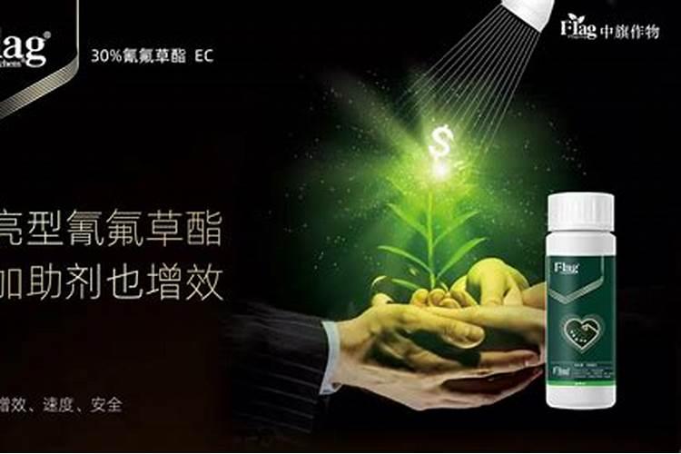 向蚂蚁宣战：有效使用农药的策略与注意事项