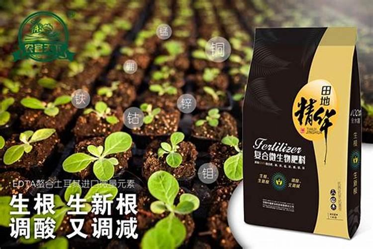 揭秘微生物肥：土壤中的微小英雄与农业的绿色革命