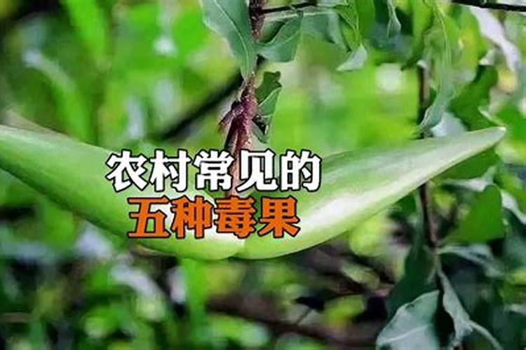 果树的几种低毒农药？