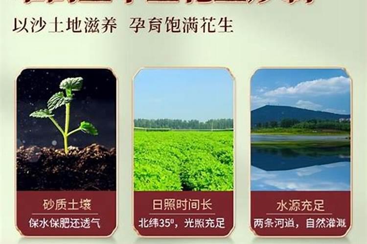 沙土之利：揭秘半沙土地的农作物种植之道