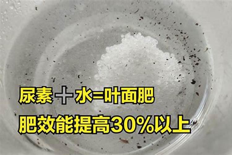 叶面肥中尿素含量是多少毫升？