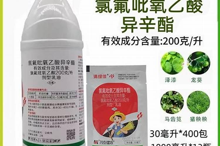 卷茎蓼怎么防治？卷茎蓼防治的方法