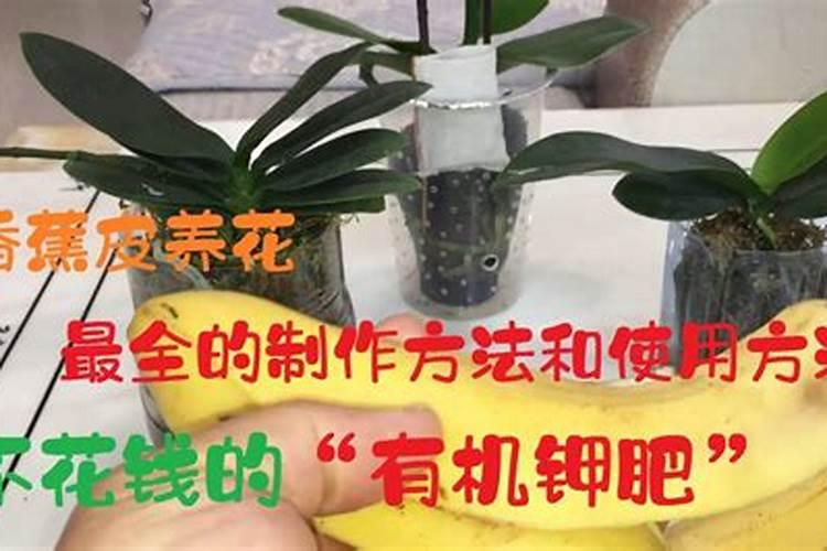 精准农业：掌握钾肥喷施比例的关键因素