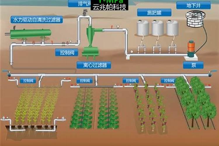 田间深施肥技术：农业增产的关键策略