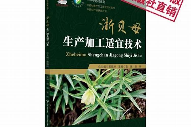 揭秘浙贝的规范化栽培技术：从种植到收获的全过程