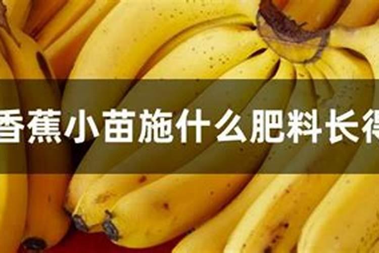 花草放什么肥料长的快？