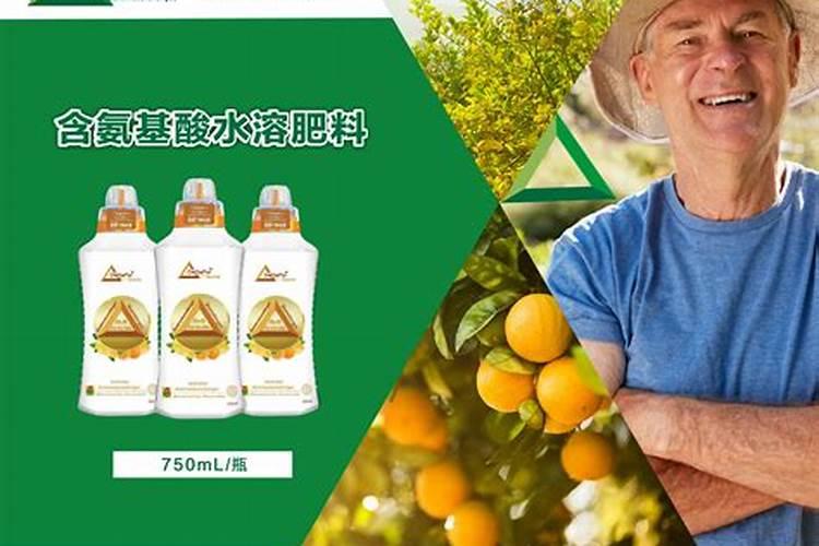 叶面肥的高效应用：提升植物营养吸收与生长质量