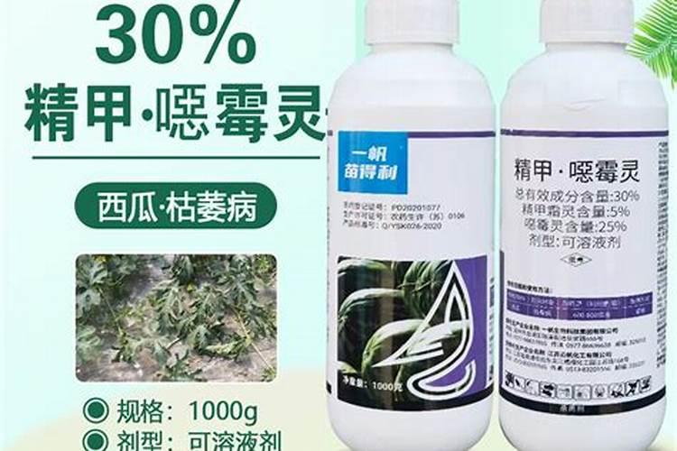 恶霉灵：植物病害的守护神