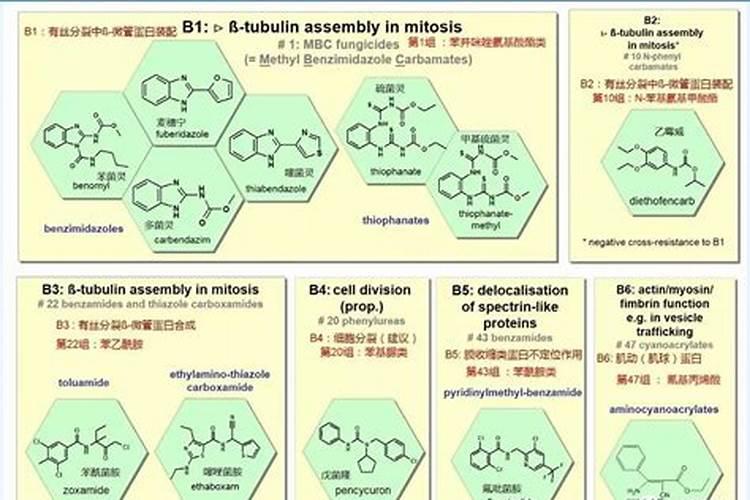 提高杀菌剂药效有哪些方法？