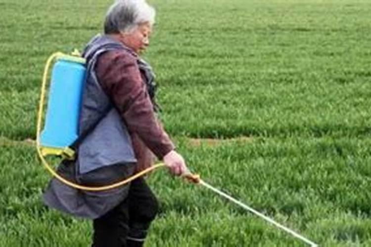 下雨天室内能施水溶肥吗北方？