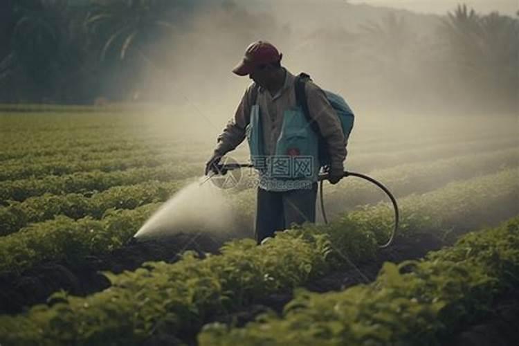 雨后春笋还是药后露珠？揭秘农药喷洒与天气的微妙关系