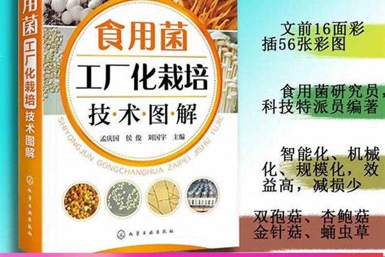 食用菌种的保鲜秘籍：如何有效防治老化？