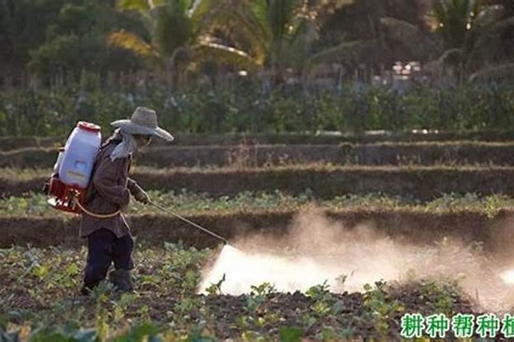 绿色守护：生物农药在农业生产中的科学使用指南