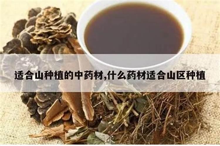 探索湖北丘陵地带：种植前景广阔的药材品种