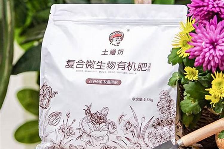 果菜类施肥有何方法？