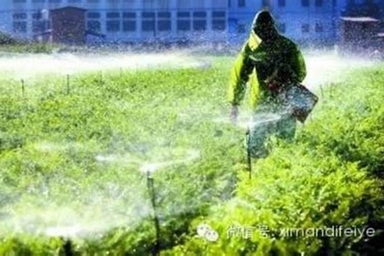 守护绿色田园：细菌生物农药使用要点全解析