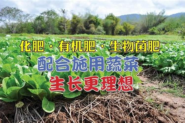 土壤的黄金伙伴：掌握生物有机肥的正确施用之道