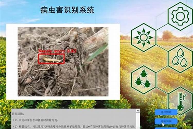 警惕！使用细菌生物农药的五大注意事项