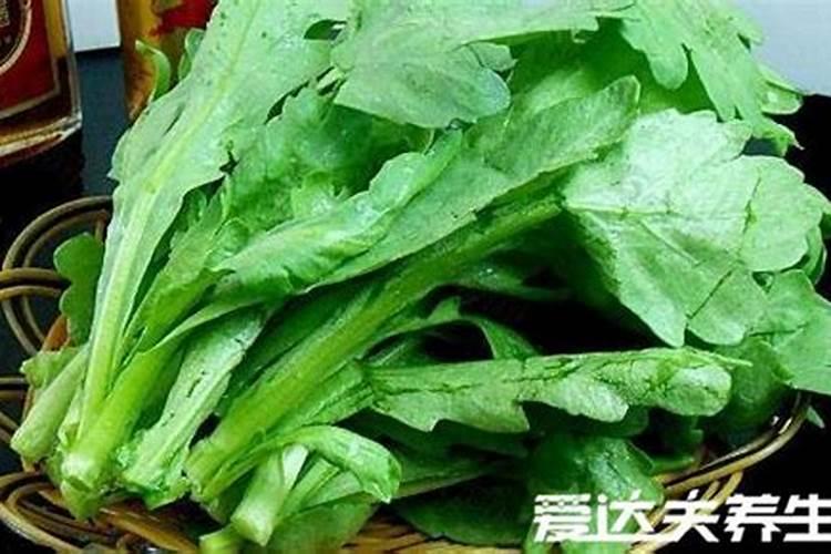 茼蒿菜通常需预防哪些病虫害？