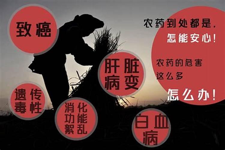 隐形杀手：农药残留危害的深度剖析