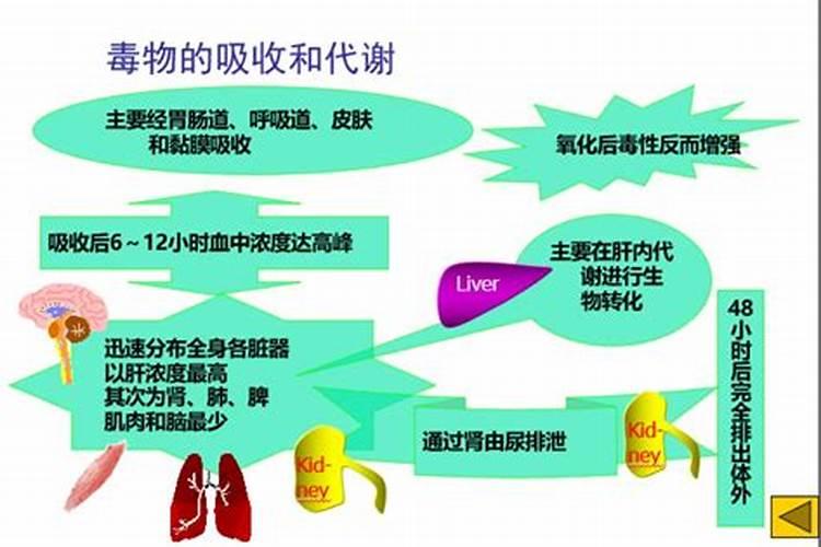 探究急性农药中毒的多元原因：一篇全面解析？