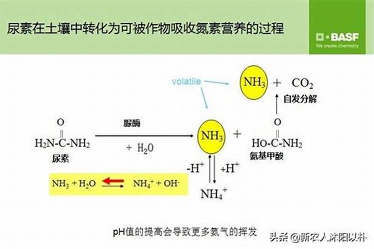 警惕！使用尿素的五大注意事项