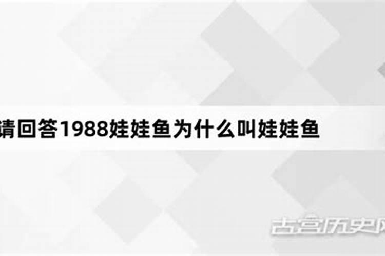 东龙为什么叫娃娃鱼东龙叫娃娃鱼的原因？