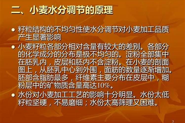 长春花叶子蔫了怎么办？——水分调节与综合护理指南