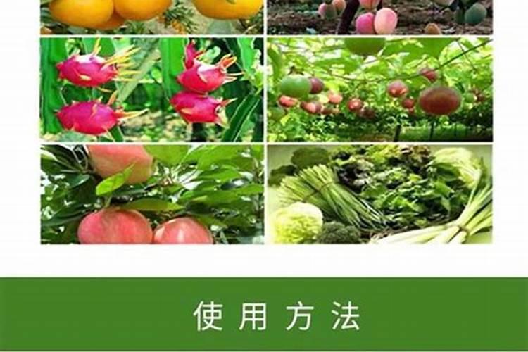 田间守护神：吡虫啉原药的正确使用指南