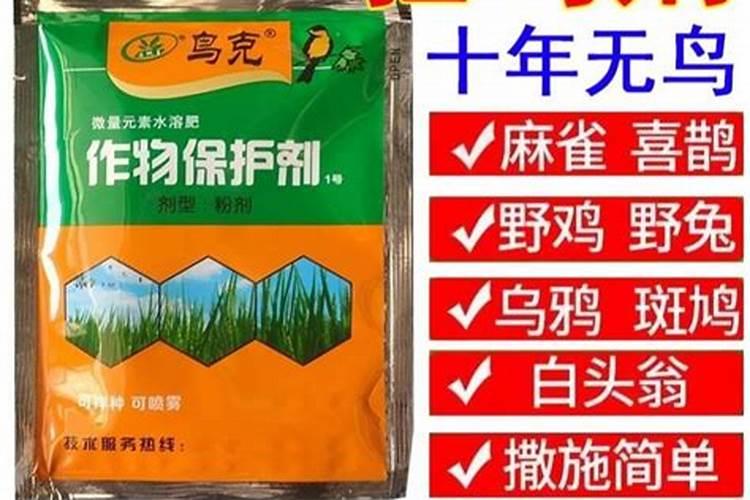 果园守护者的智慧：掌握关键农药施用法则