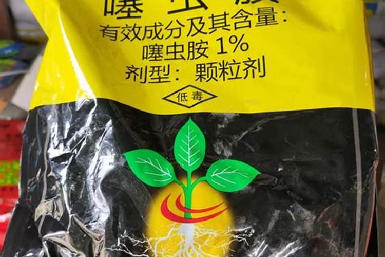 守护绿色生命：地下害虫的农药防治策略