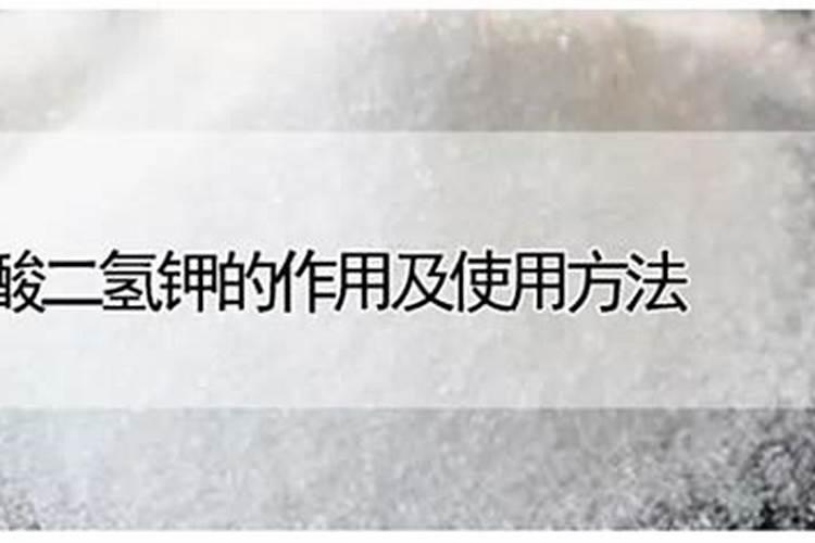 亚磷酸钾的奥秘：功能与使用注意事项解析