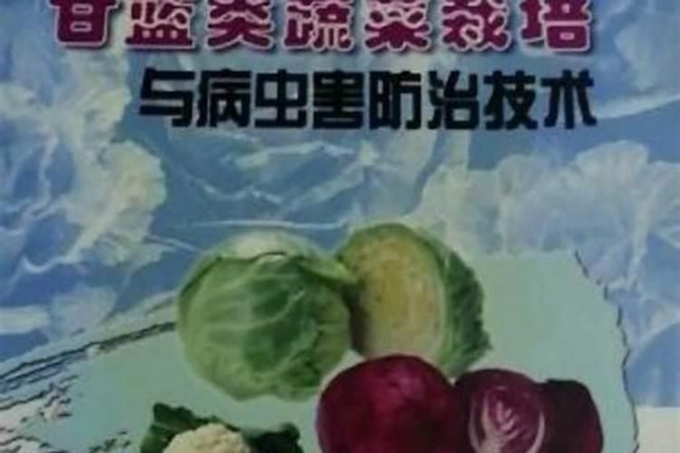 守护绿意盎然：甘蓝类蔬菜病害防治与农药应用指南