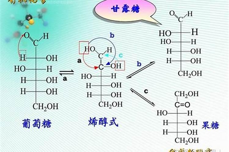 糖醇钙与葡萄糖肽的区别在哪？