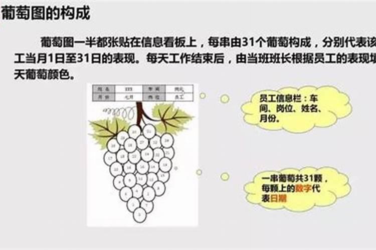 葡萄现代优质管理方法？