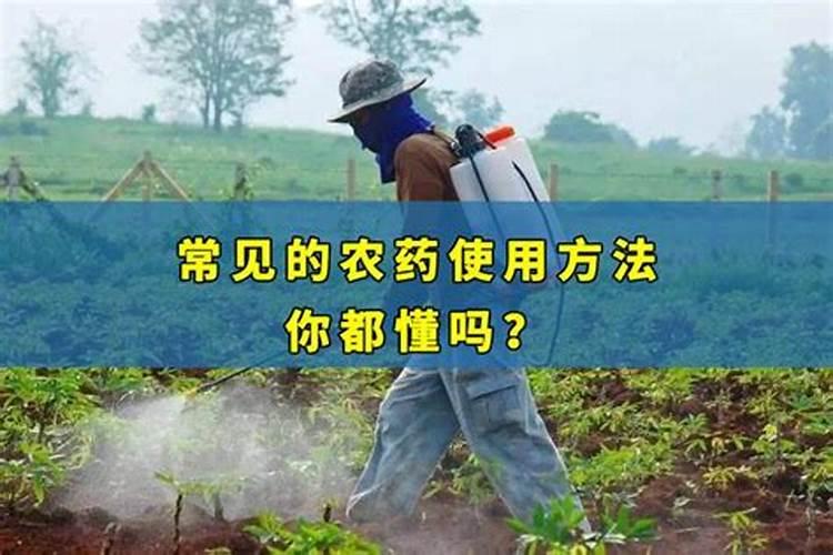 绿色守护：探寻最佳农药喷洒方式？