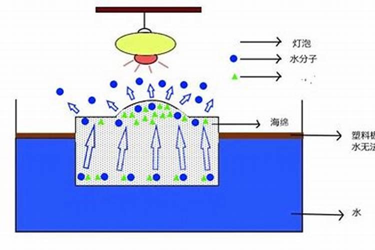 土壤次生盐碱化技术