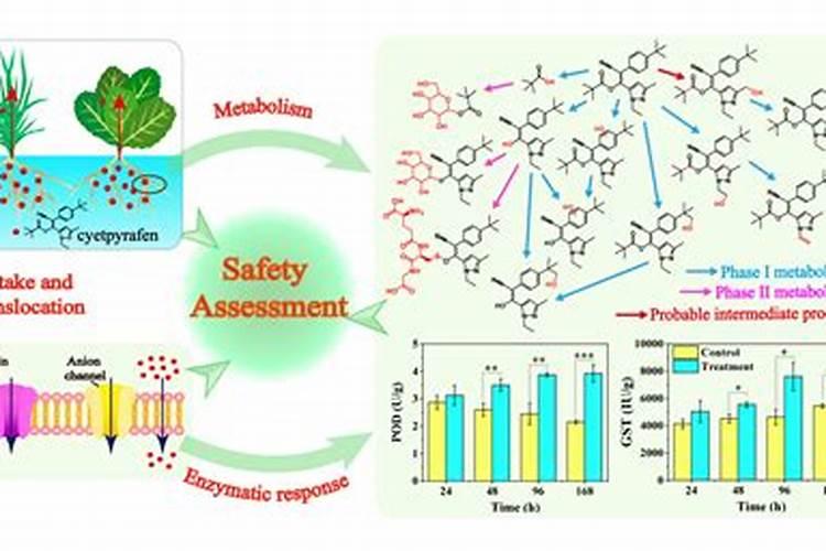 守护绿色田野：生物农药在蔬菜上的作用机理与应用技术