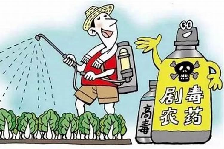 绿色守护：自制植物性农药的环保之路