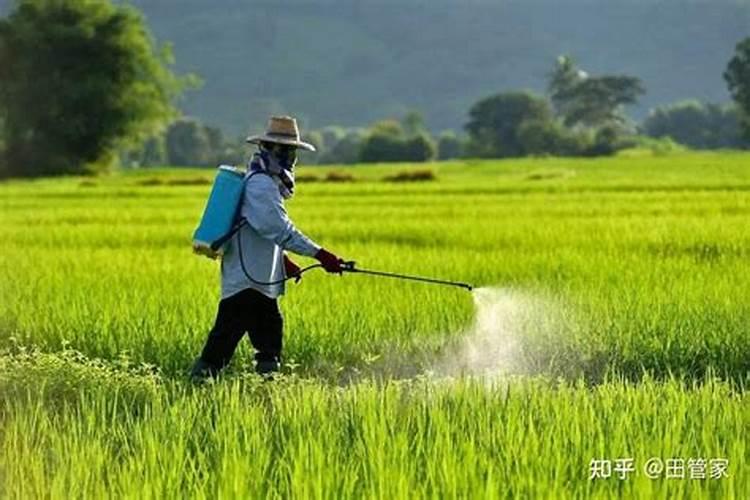 农药混配的艺术：解锁高效植保的秘诀