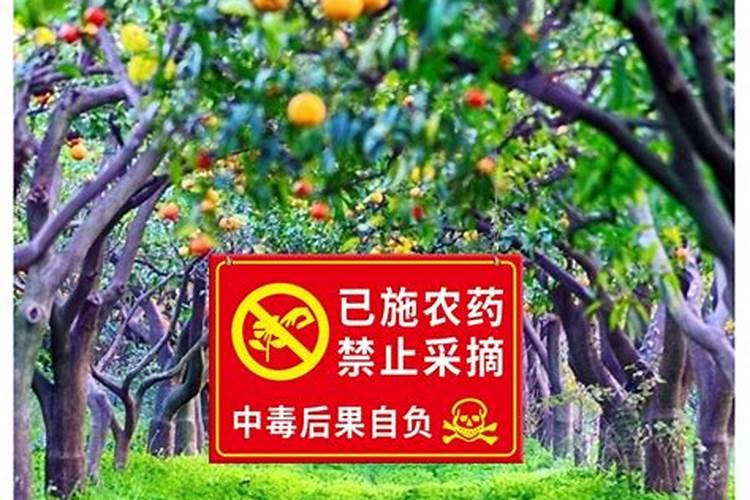 守护果园：策略与实践防止果树药害