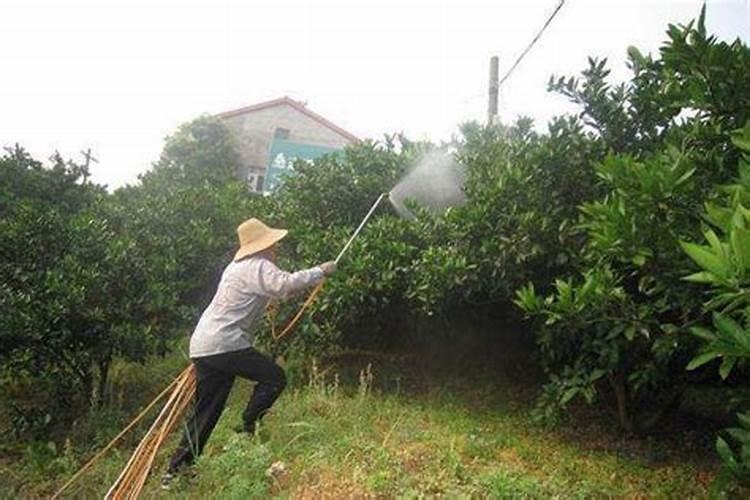 冬季农业守护者：适合寒冷季节使用的农药指南