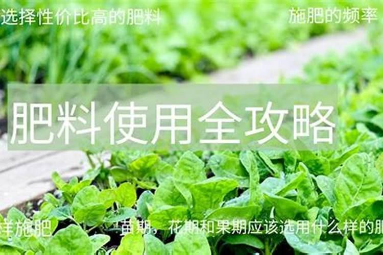 揭秘复合肥的高效之道：优点与选用策略全解析