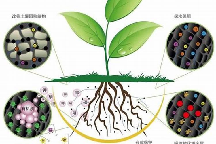 有机肥料水溶肥是什么原理？