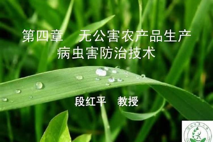 守护果园的绿色盾牌：苹果病虫害无公害防治技术